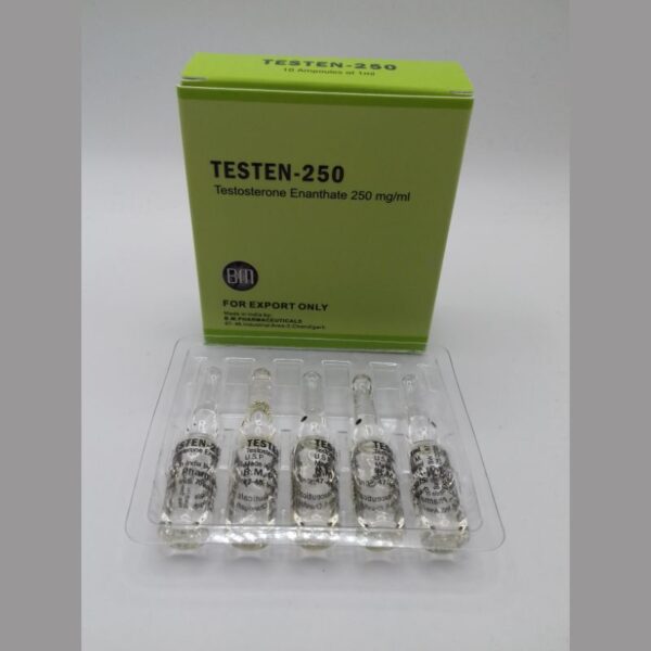 Testen 250 rendelés